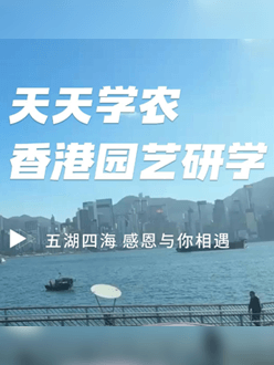 与香港园艺学会联合举办香港园艺研学，专业园境师带队讲解。